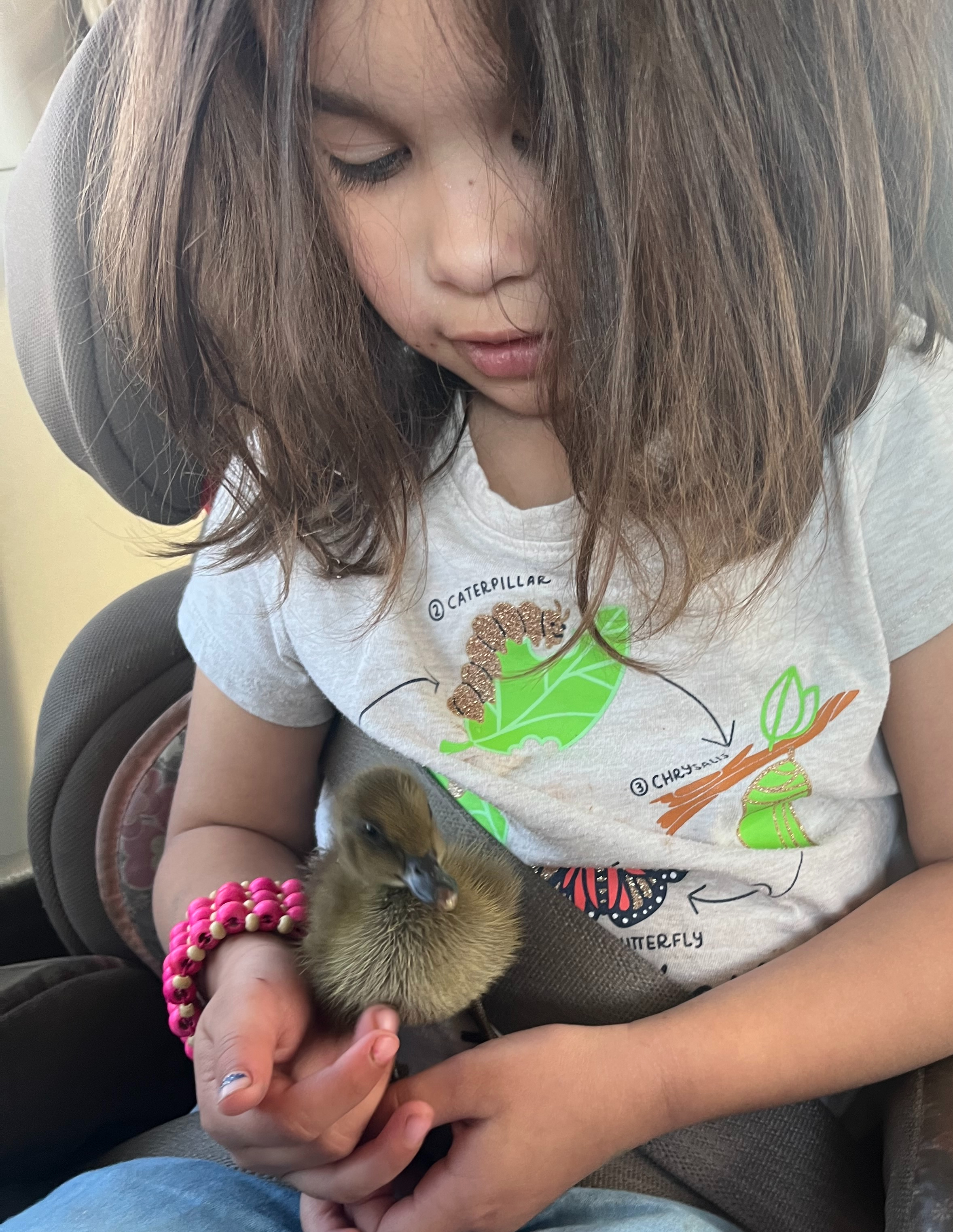 Homesteading With Littles