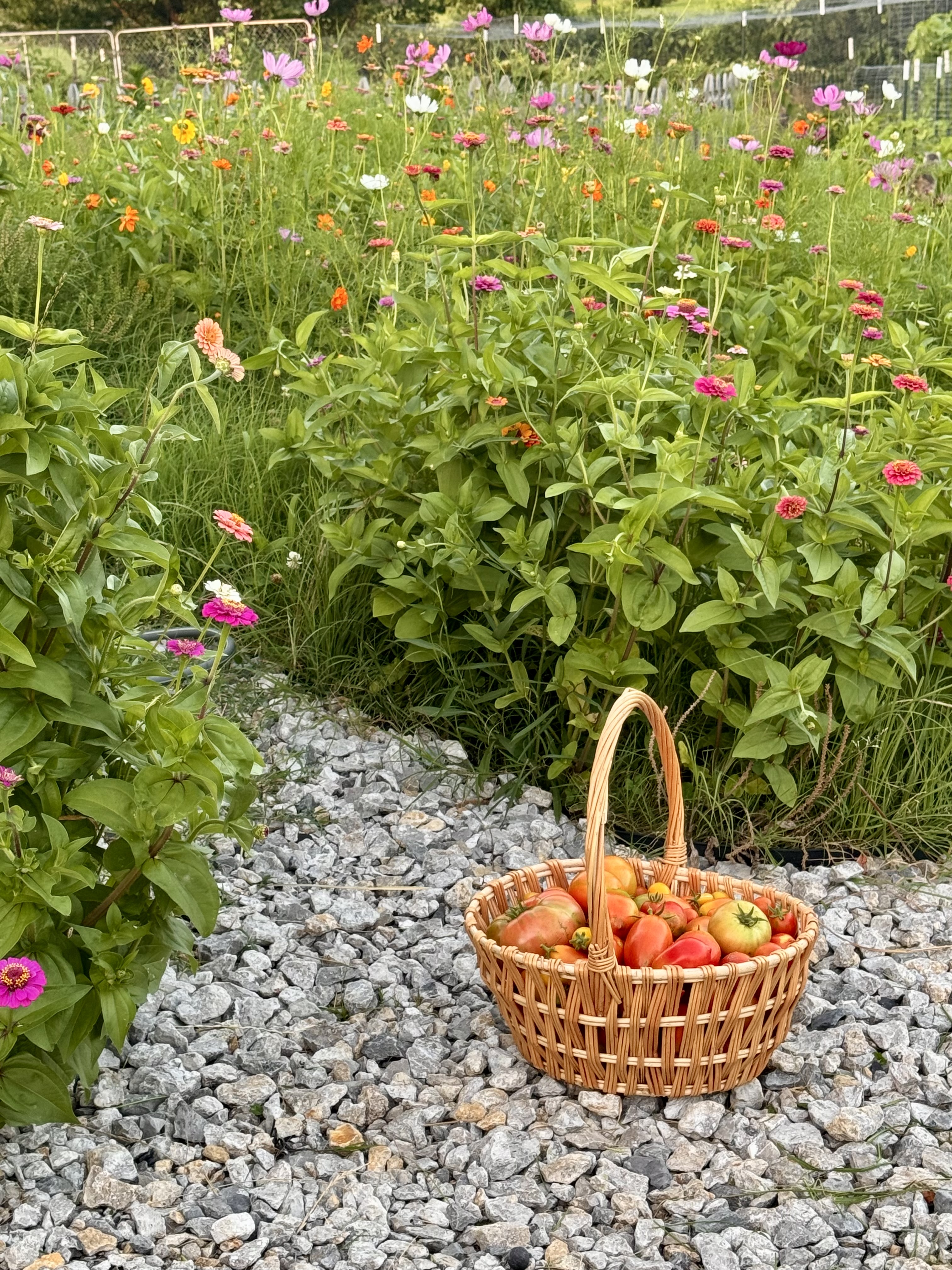 3 Ways To Survive Summer Heat: Get In Nature Without Going Outside